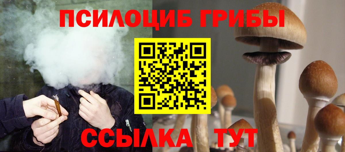 Костомукша  где продают   Вход с VPN  Галлюциногенные грибы Psilocybine cubensis 