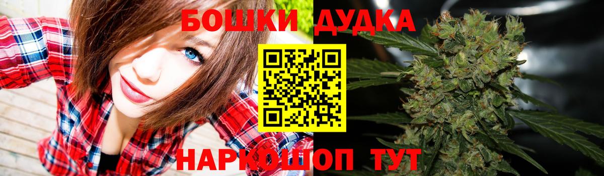 Бошки Шишки план Костомукша